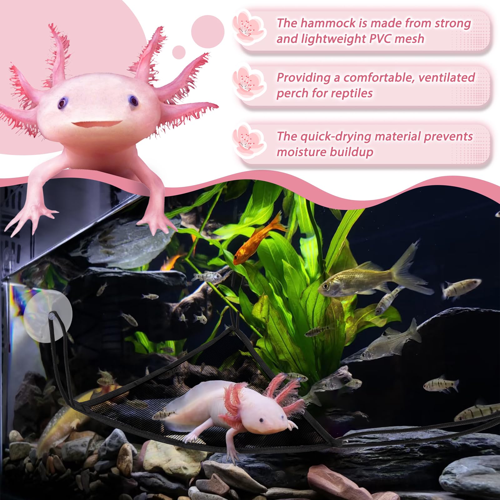Niuohoy hamac compatible multi-especes dragons geckos caméléons.