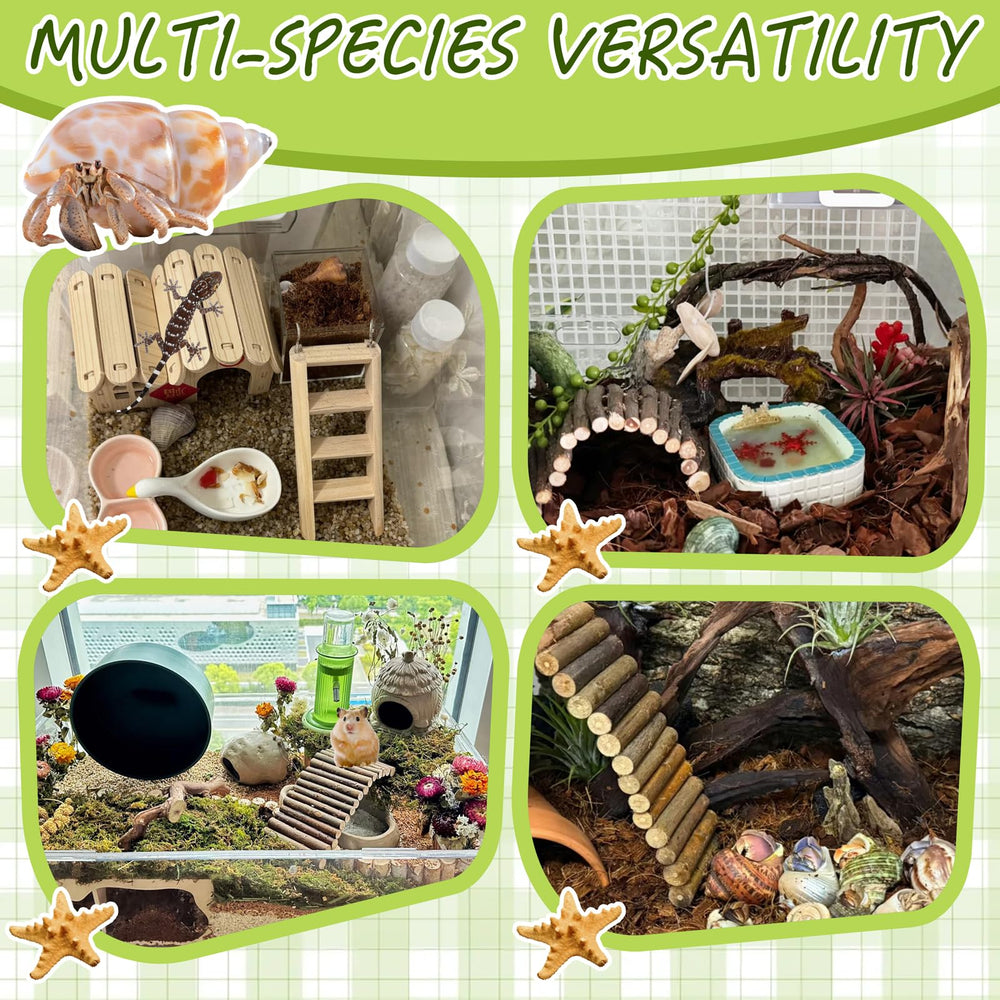 Niuohoy ambiance tropicale domestique pour mini-animaux.