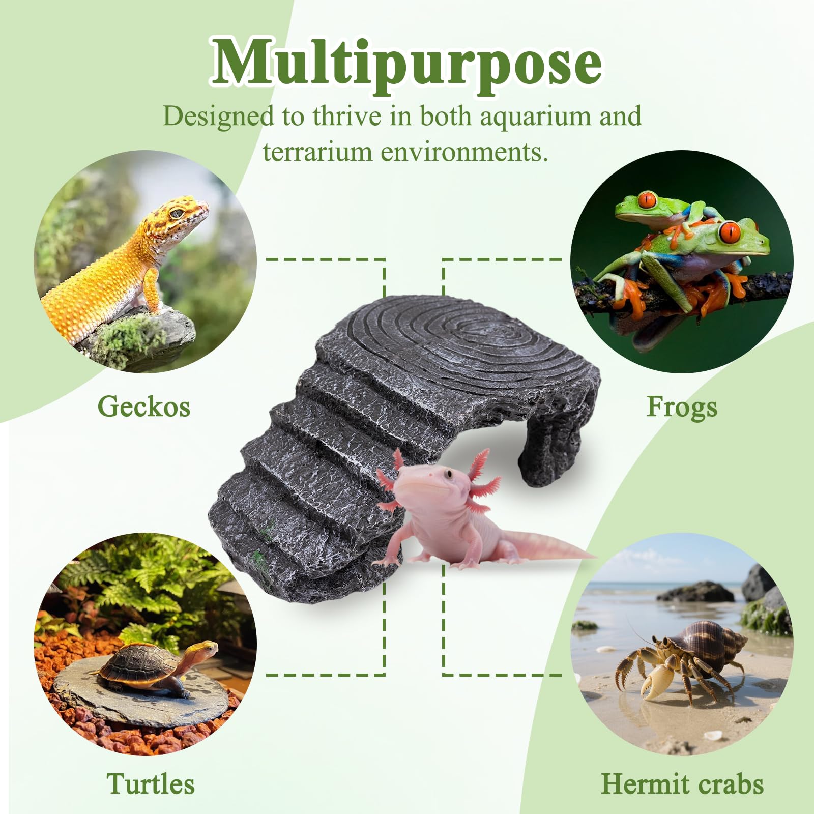 NIUOHOY refuge-pet-eau-terarium — convient aux poissons et reptiles