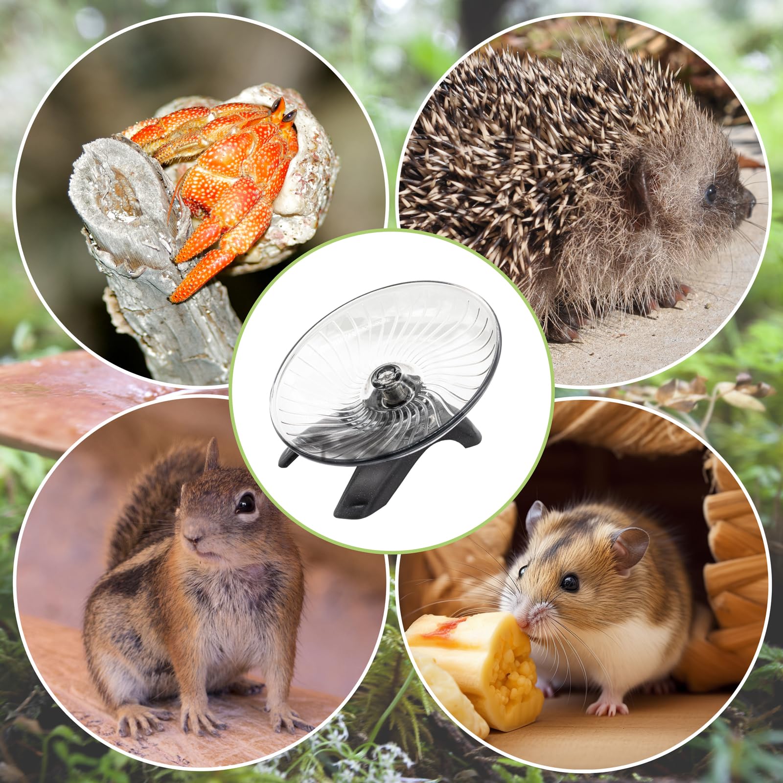 Roue compacte NIUOHOY, adaptée à plusieurs petits animaux.