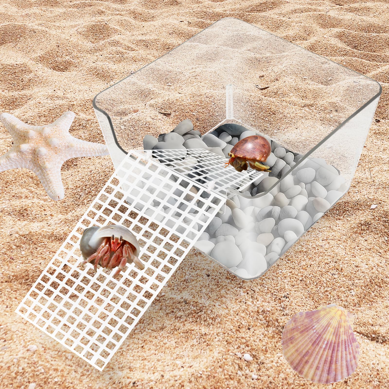Niuohoy transparence du bac pour suivre le quotidien des crabes.