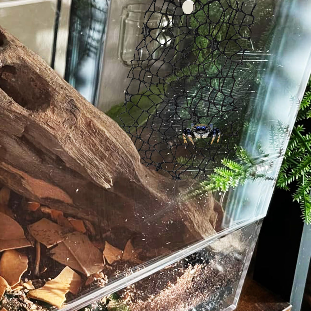 Utilisations polyvalentes Niuohoy pour invertébrés tels que mantis et araignées