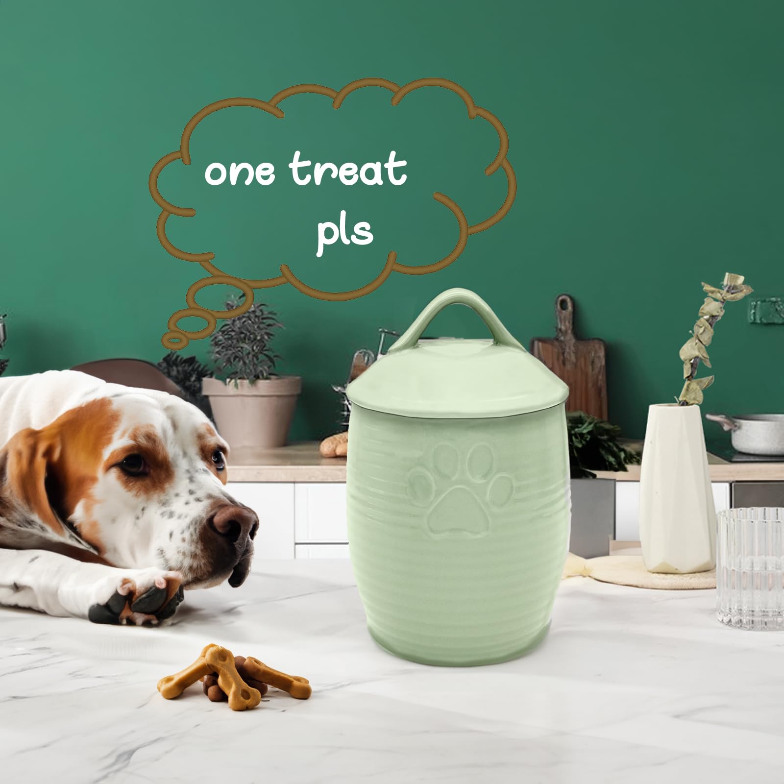 NIXBYO Conteneur céramique vert conserve nourriture au sec.