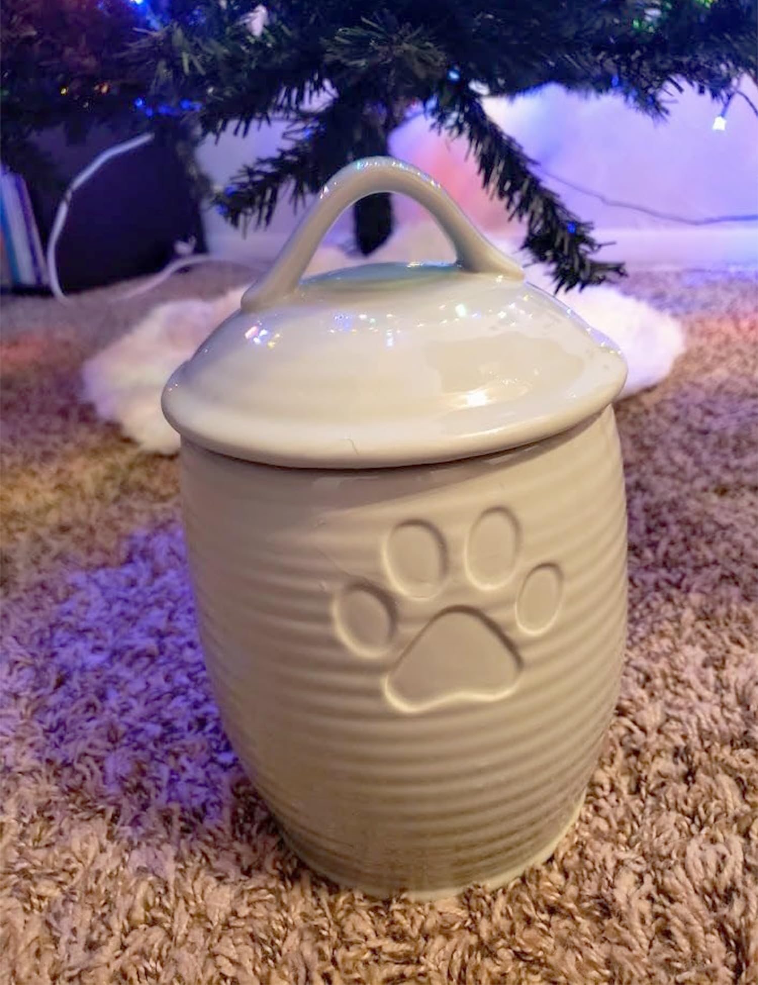 NIXBYO Conteneur nourriture chat et chien pratique et polyvalent.