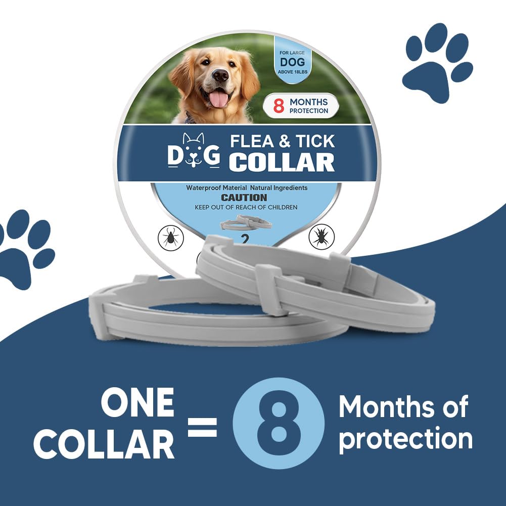 Usage intérieur et extérieur – collier NJKPUYT pour chiens.