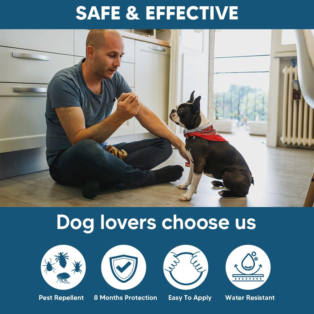 Collier NJKPUYT, application facile pour chien petit sans serrer.