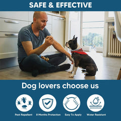 Collier NJKPUYT, application facile pour chien petit sans serrer.