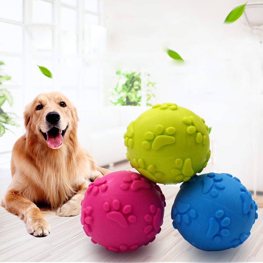 Nlmskzzy outil d'entraînement canin, pratique pour les exercices.