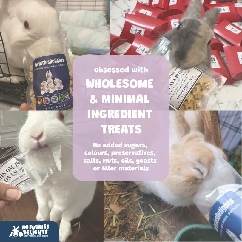 No Furries Delights Forage Mix – idéal pour lapin et cobaye au quotidien.