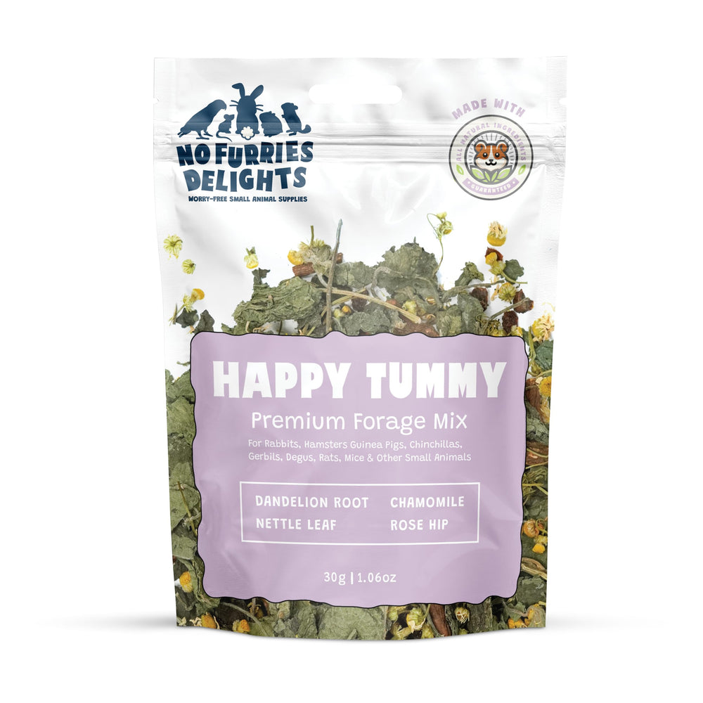 No Furries Delights Premium Forage Mix – herbes naturelles visibles enrichissant l’alimentation