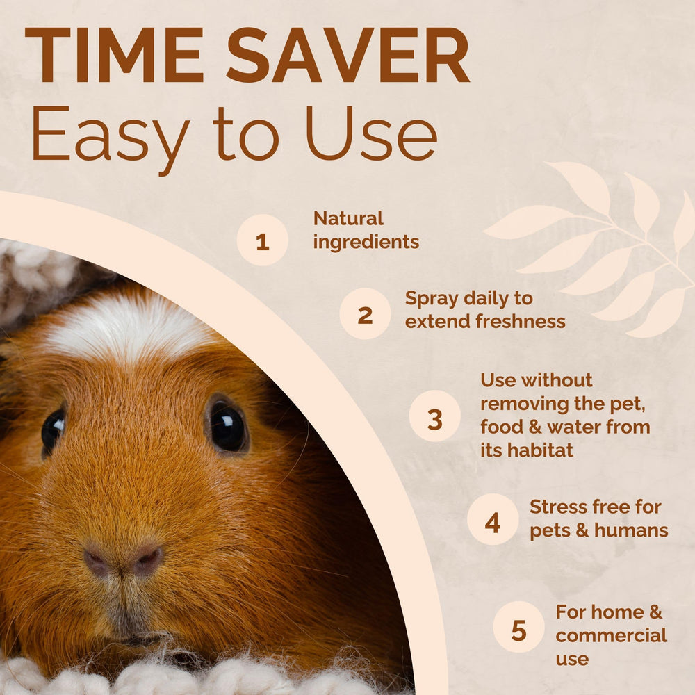 No Scent spray probiotiques pour surfaces et literie des petits animaux