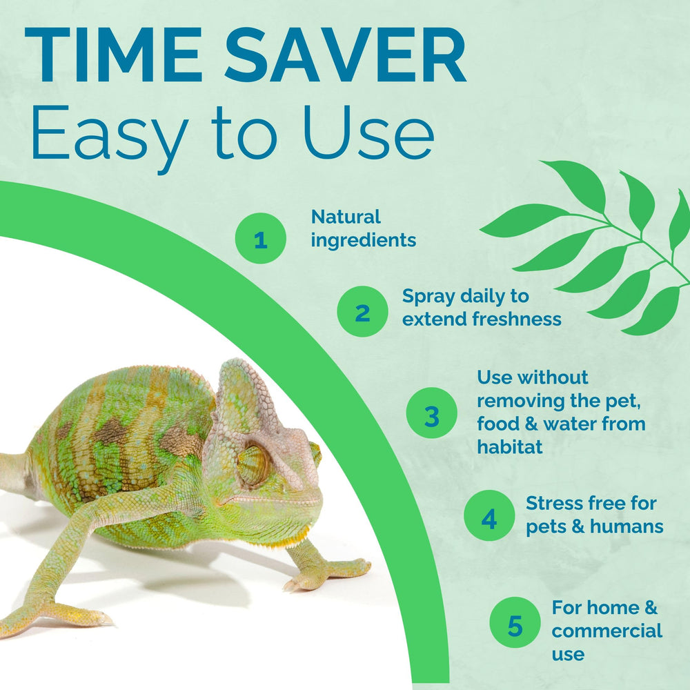 No Scent Reptile Enclos nettoyé grâce à une action probiotiques