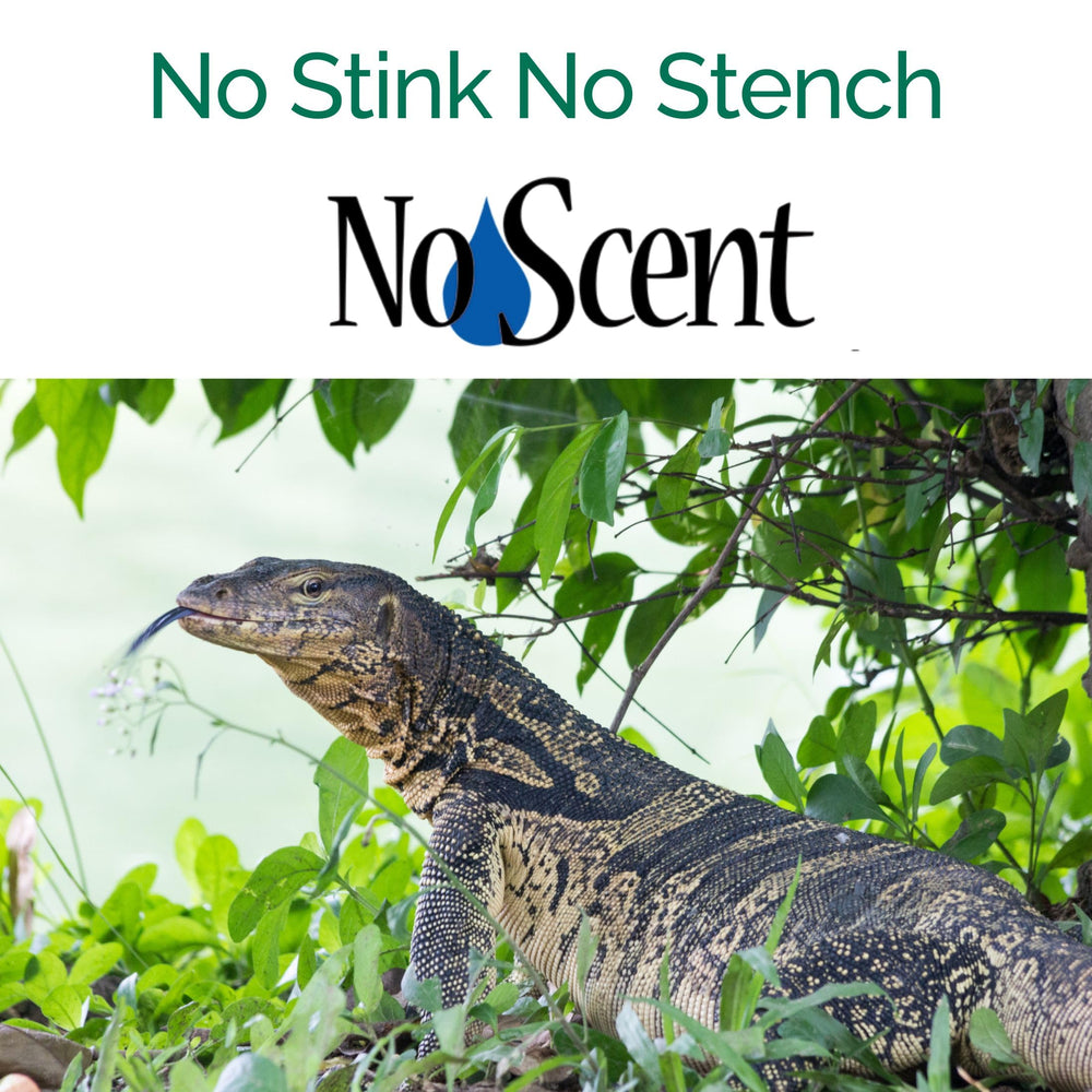 No Scent Reptile Habitat protégé par une action probiotiques