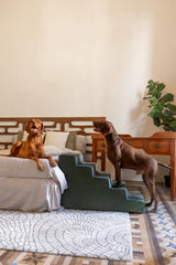 NOAH ET PAW escaliers chien, cuir végan élégant, s’intègre à la déco.