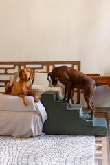 NOAH ET PAW escaliers, mousse haute densité 35, soutien durable.