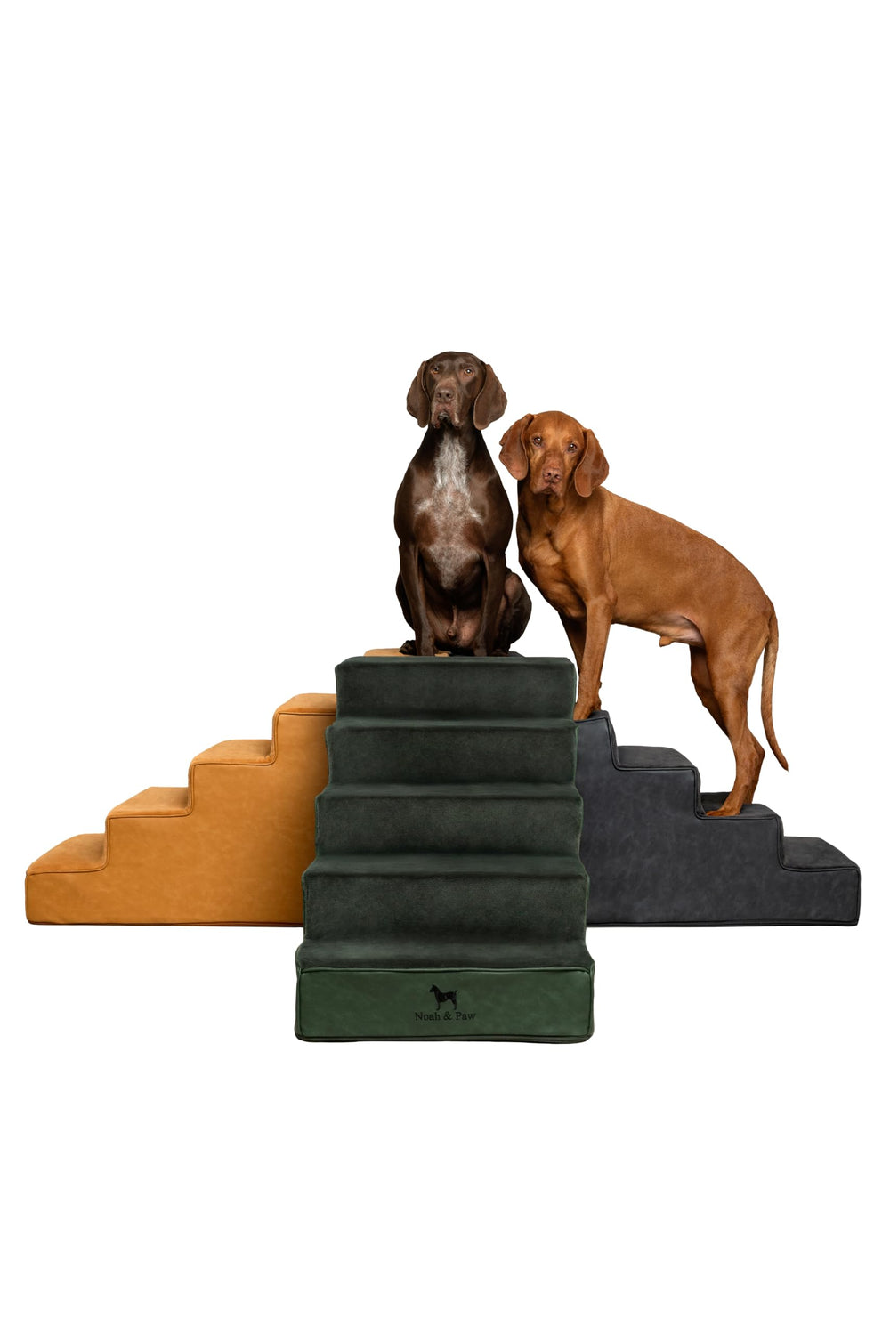 NOAH ET PAW escaliers pour chien, 20 pouces, large et stable.