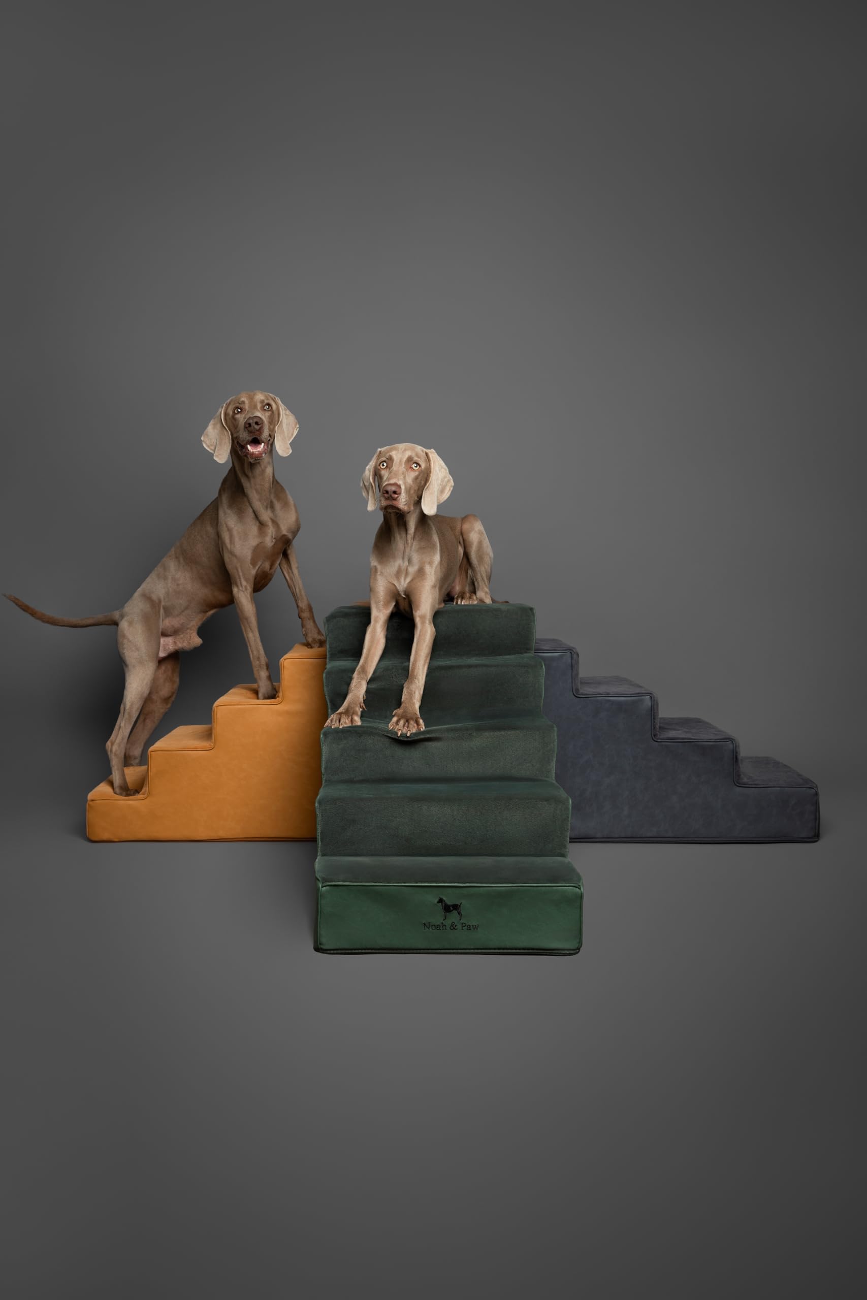 NOAH ET PAW escaliers, usage canapé et lit, accessibilité améliorée.