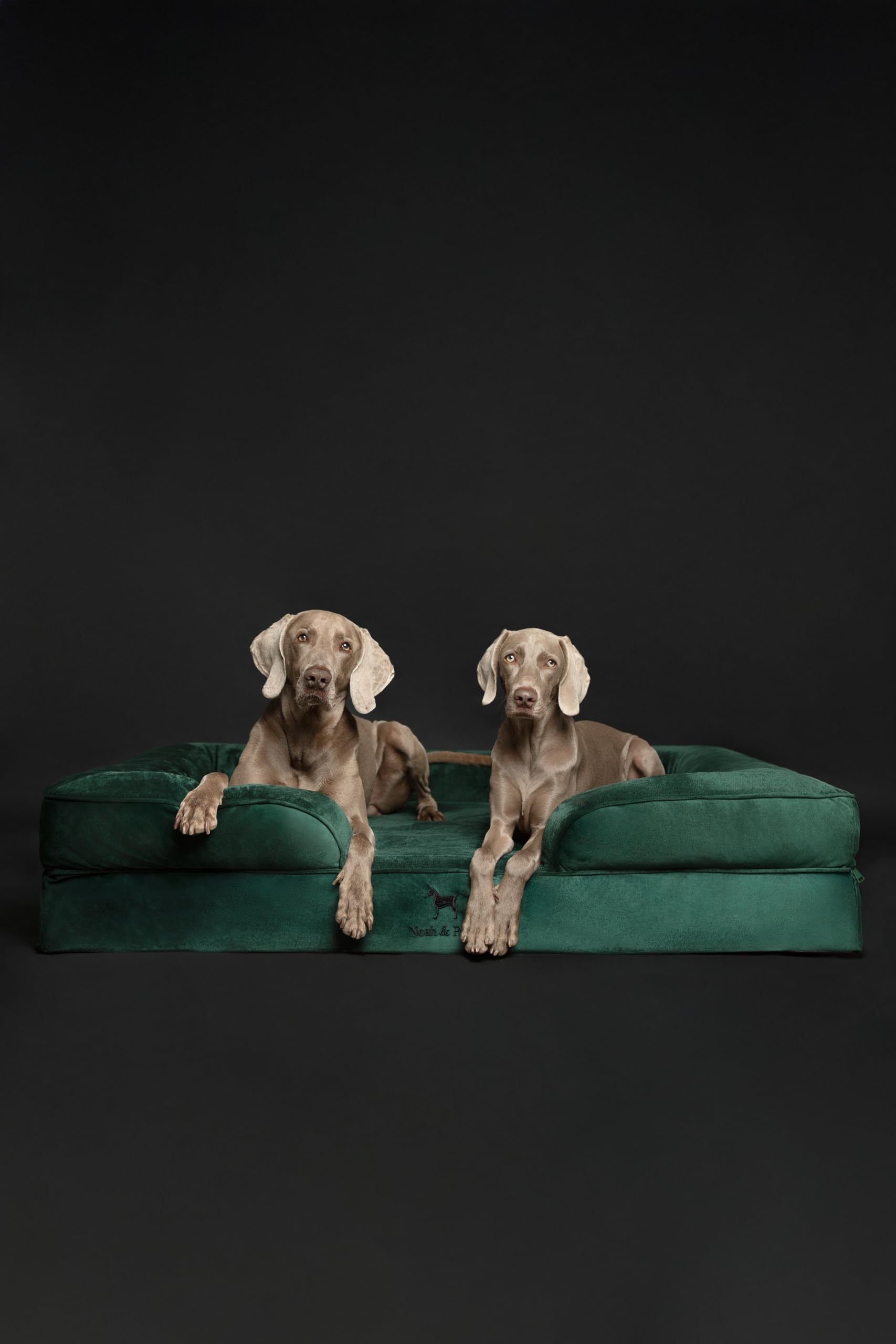 Housse extérieure NOAH & PAW lavable et imperméable.