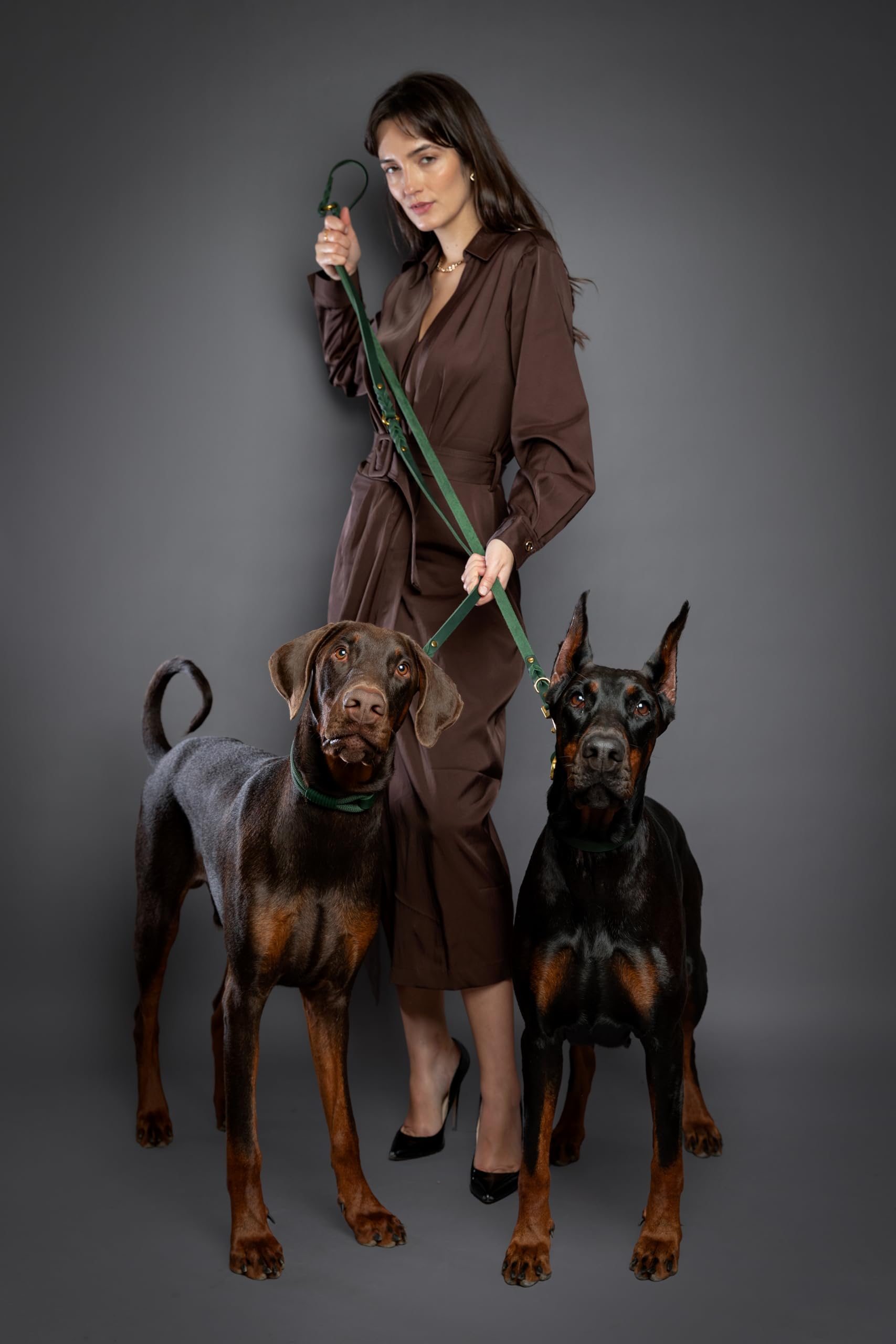 Longueur de 2,4 m de laisse Noah et Paw prête pour promenades longues