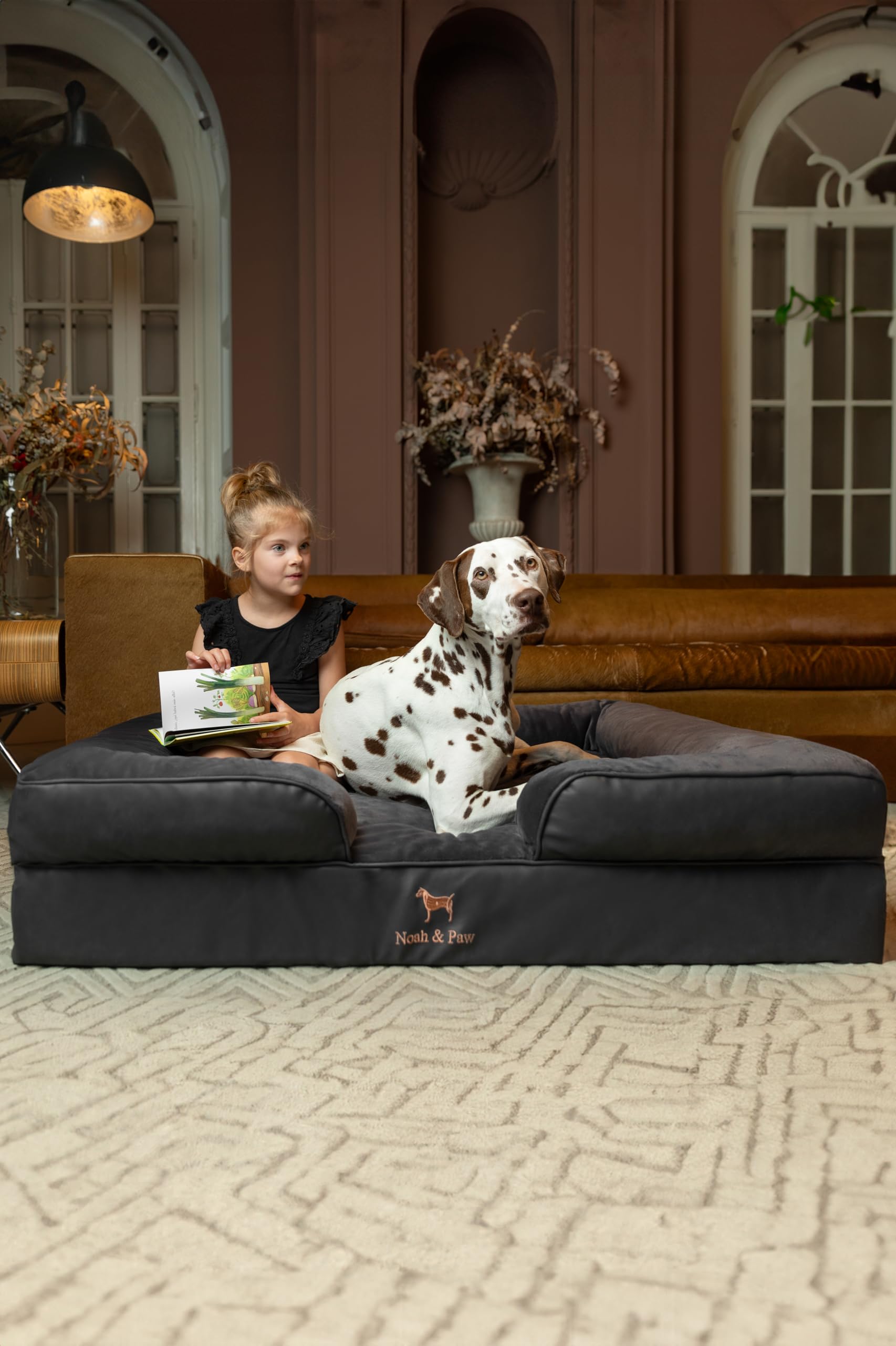 NOAH ET PAW lit chien XL, bolster de 5 pouces pour le confort