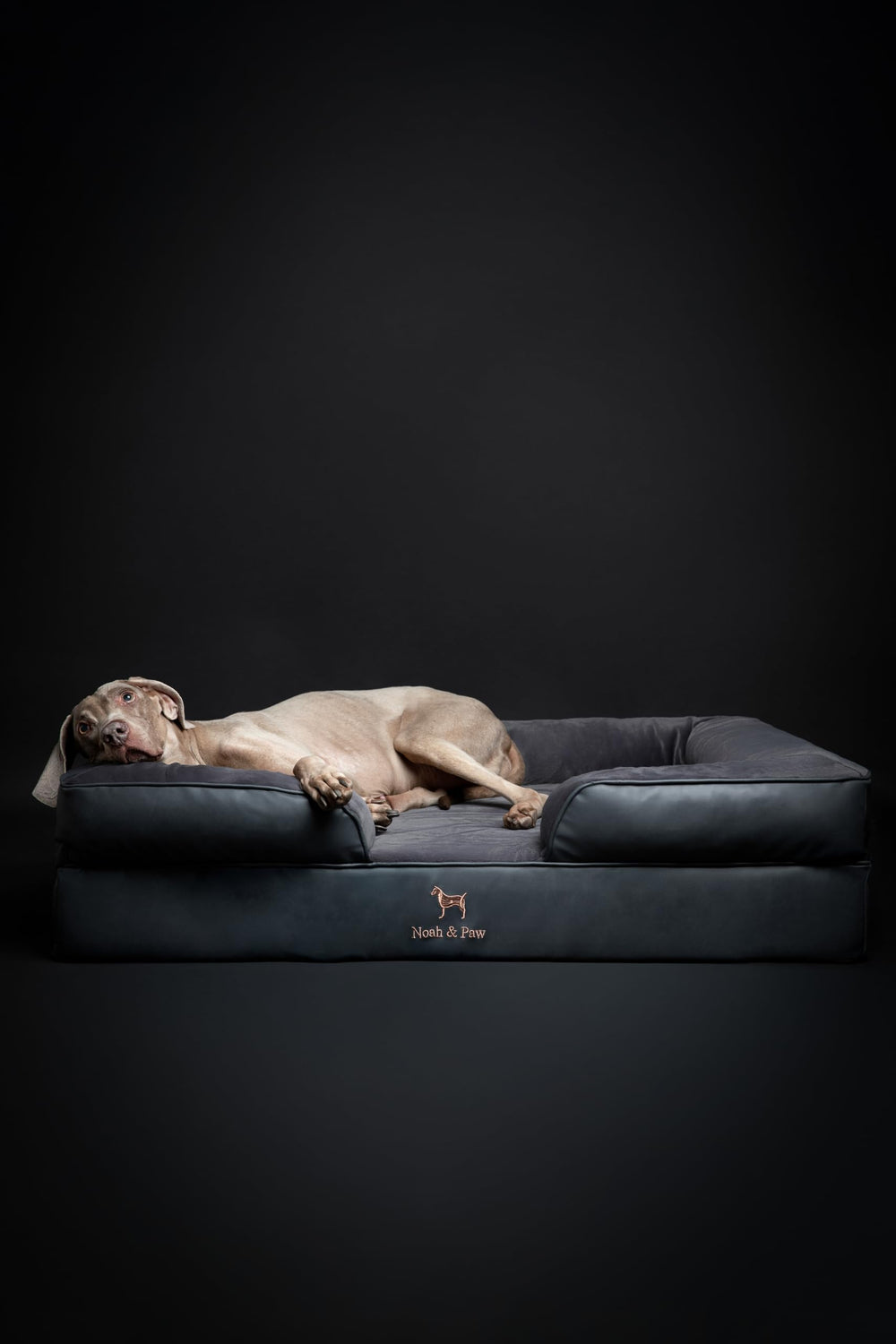 NOAH ET PAW lit chien XL, design orthopédique offrant un bon maintien