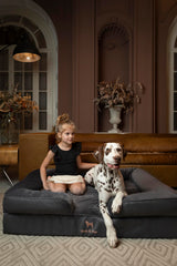 NOAH ET PAW lit chien XL, détail mousse mémoire avec gel refroidissant