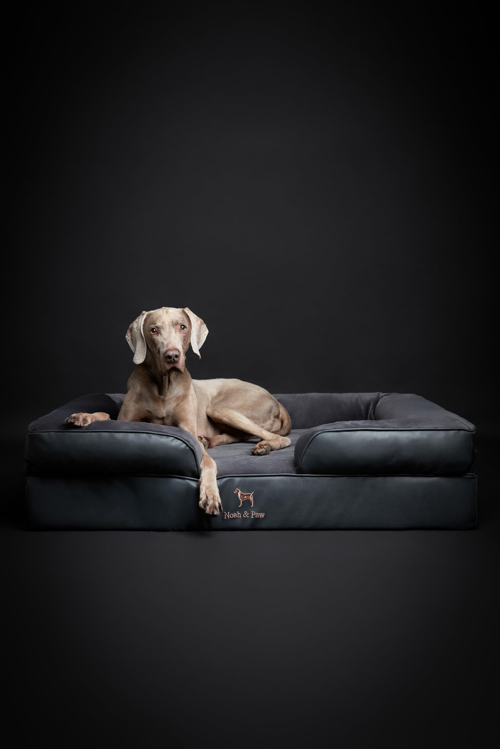 NOAH ET PAW lit chien XL, couverture intérieure amovible et lavable