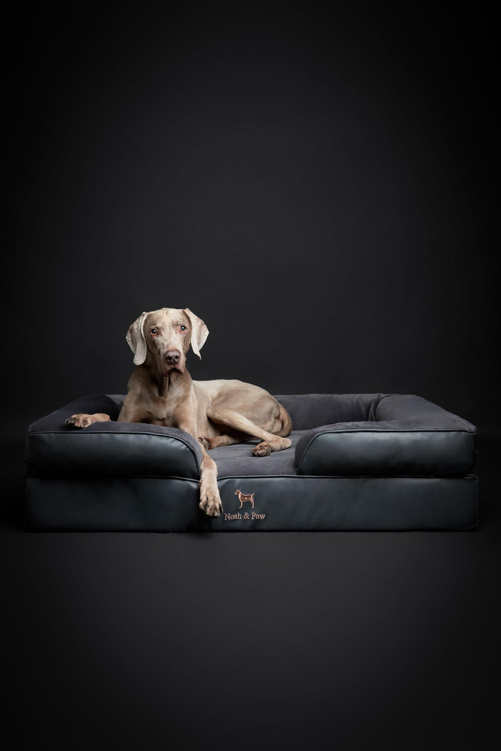 NOAH ET PAW lit chien XL, couverture intérieure amovible et lavable