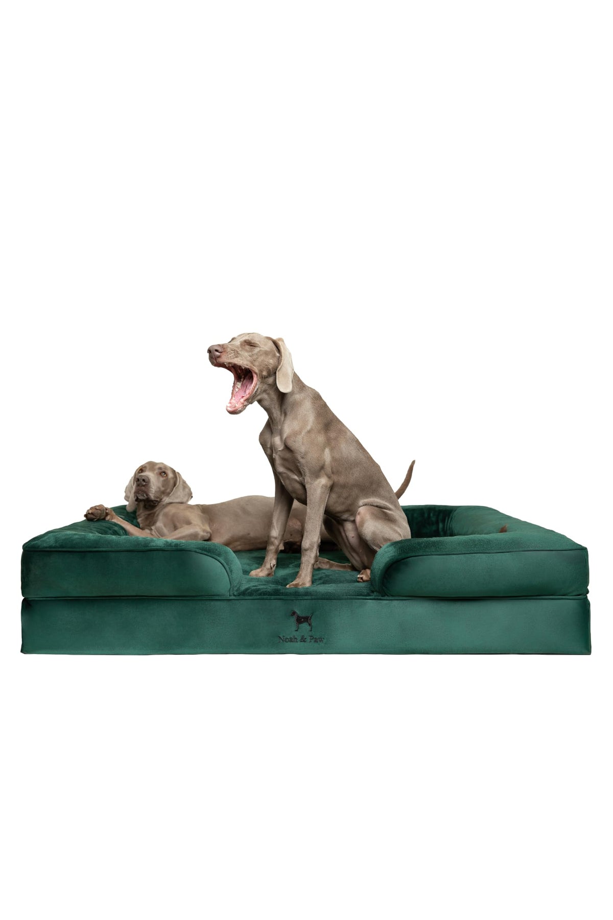 Lit NOAH & PAW XXL orthopédique en mémoire avec gel pour articulations sensibles.