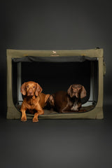 NOAH & PAW matelas pour cage chien, confort pendant les trajets.