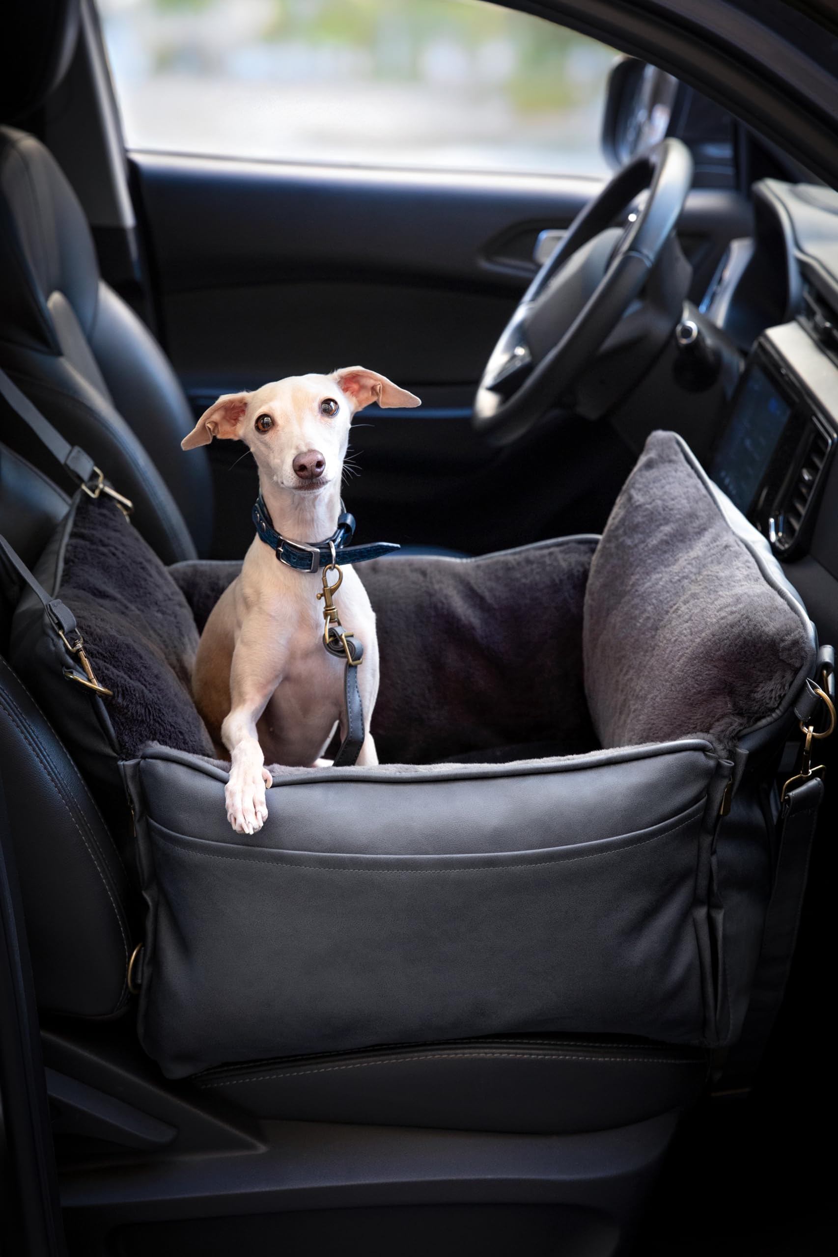 NOAH & PAW système de montage double pour fixation stable en voiture.