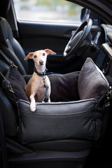 NOAH & PAW système de montage double pour fixation stable en voiture.