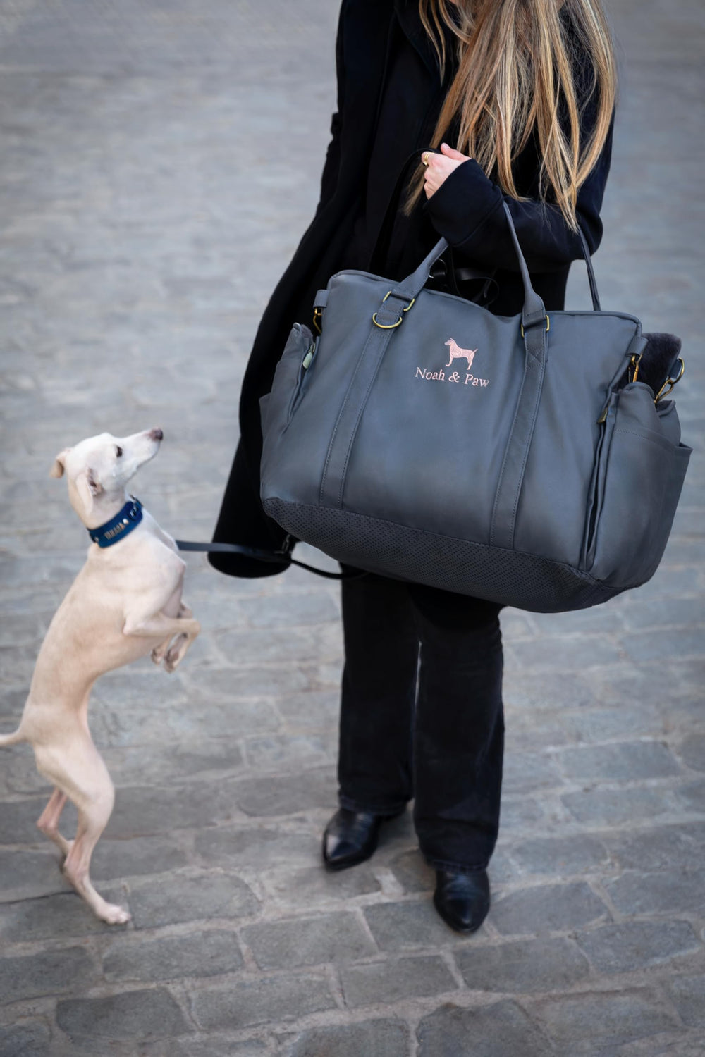 NOAH & PAW harnais et boucles solides assurant une sécurité ajustable.