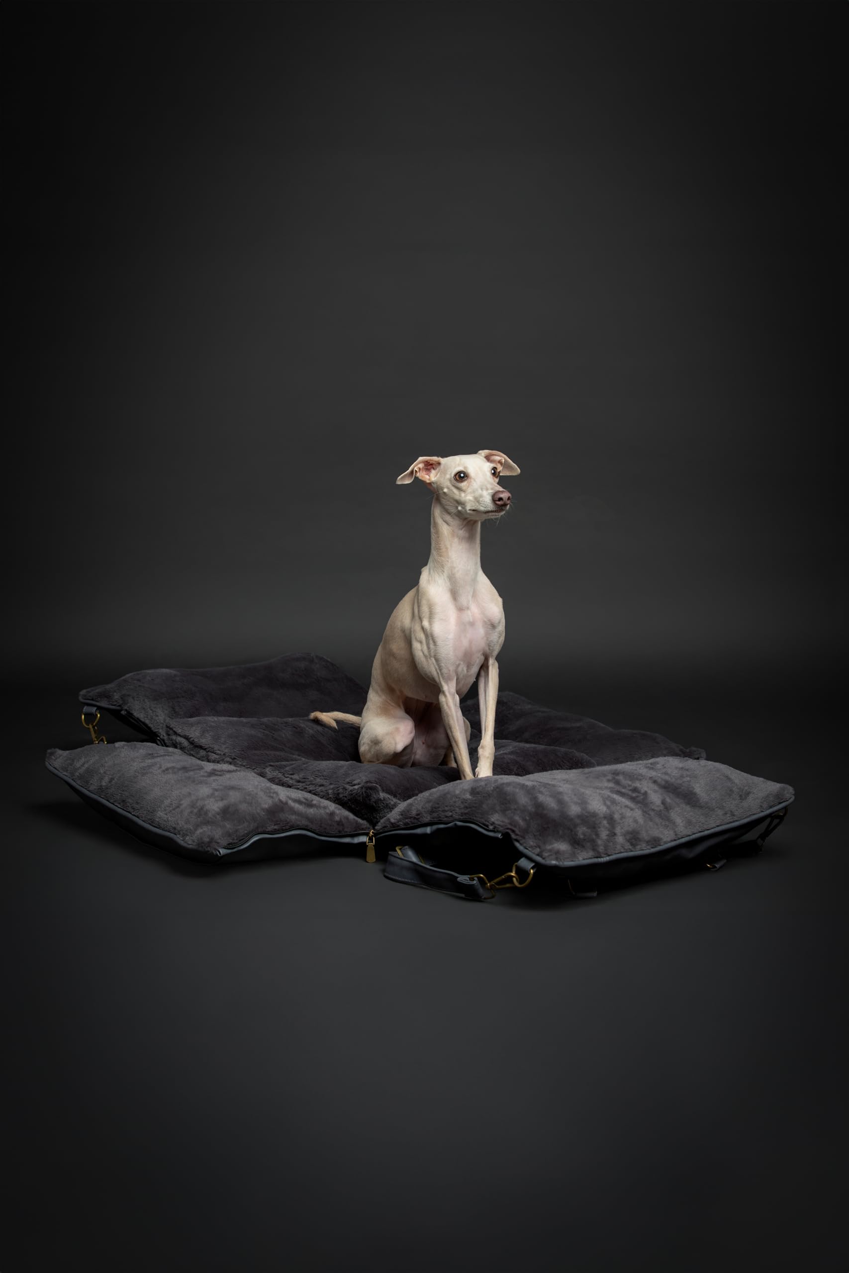 NOAH & PAW design convertible en lit ou coin repos pour voyage.