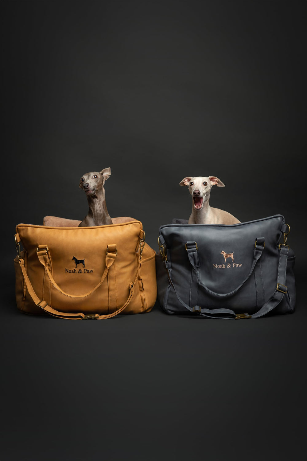NOAH & PAW housse amovible et lavable pour un entretien facile.