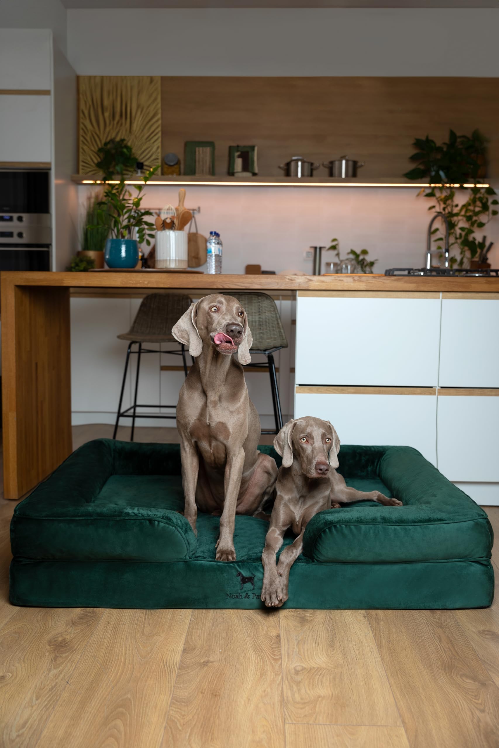 Tissu extérieur lavable et imperméable du lit NOAH & PAW.
