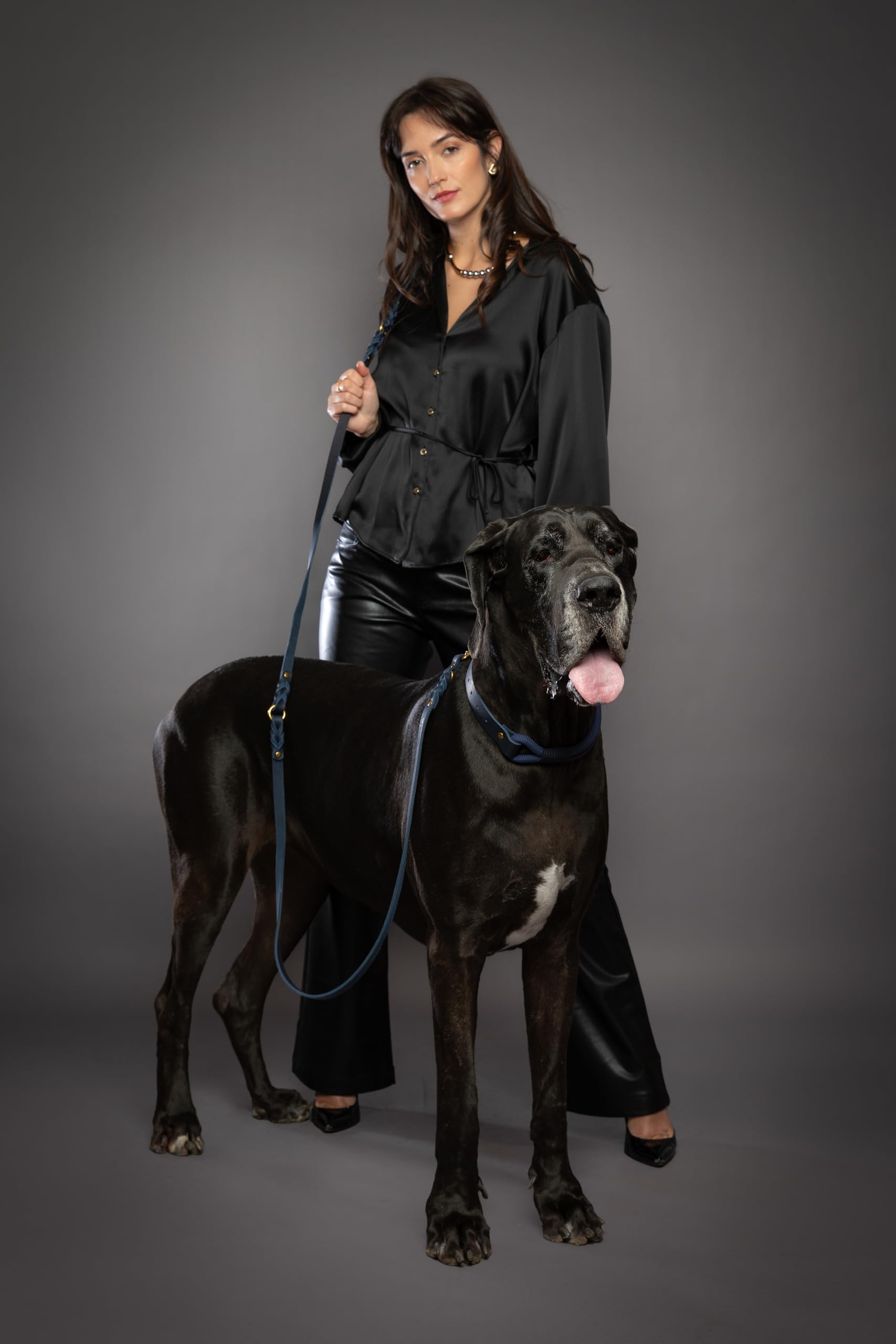 NOAH & PAW Adaptable chat et chien pour une polyvalence.