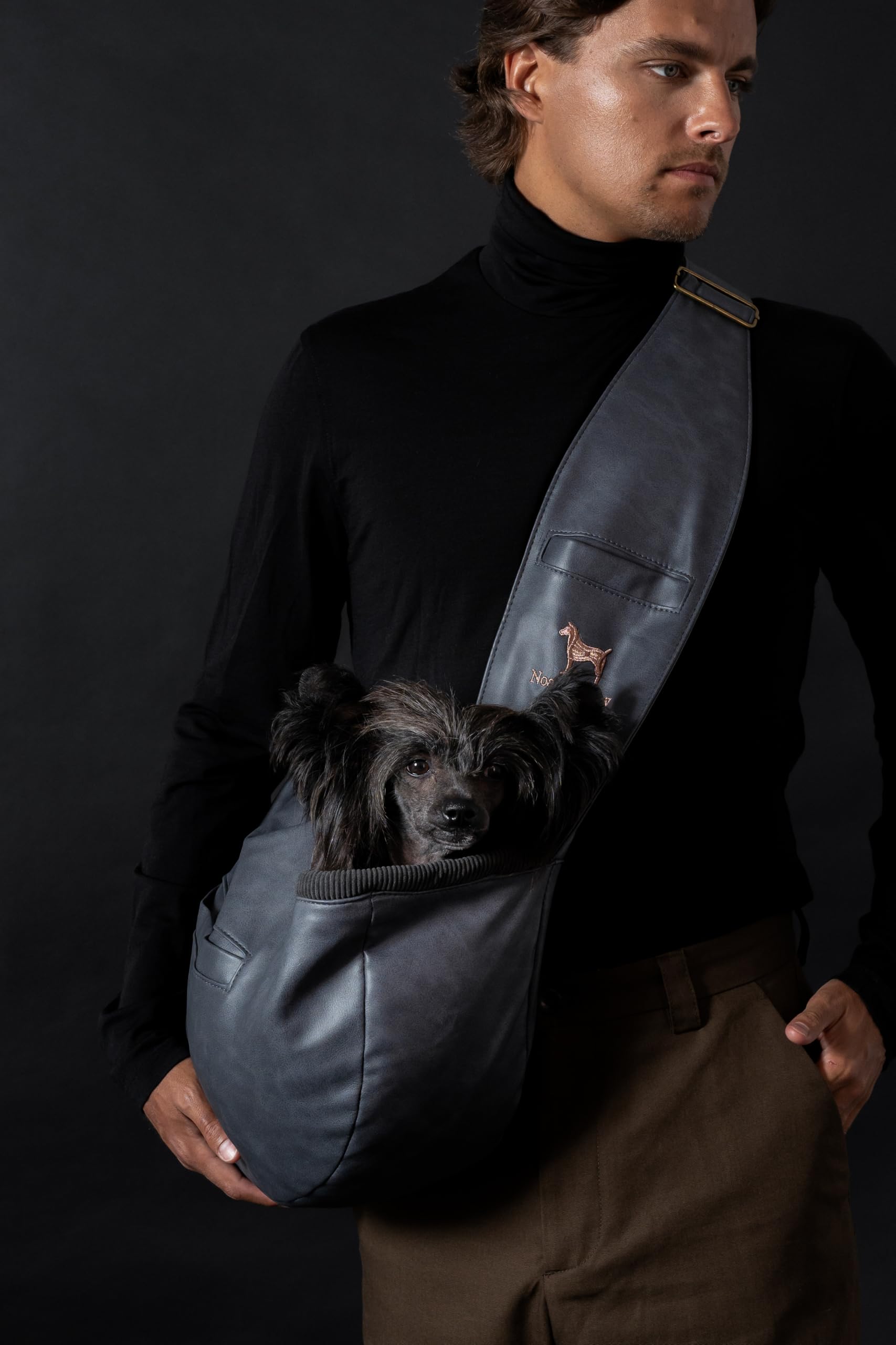 NOAH & PAW ideal-convalescence-chiens-age offre soutien discret durant la récupération
