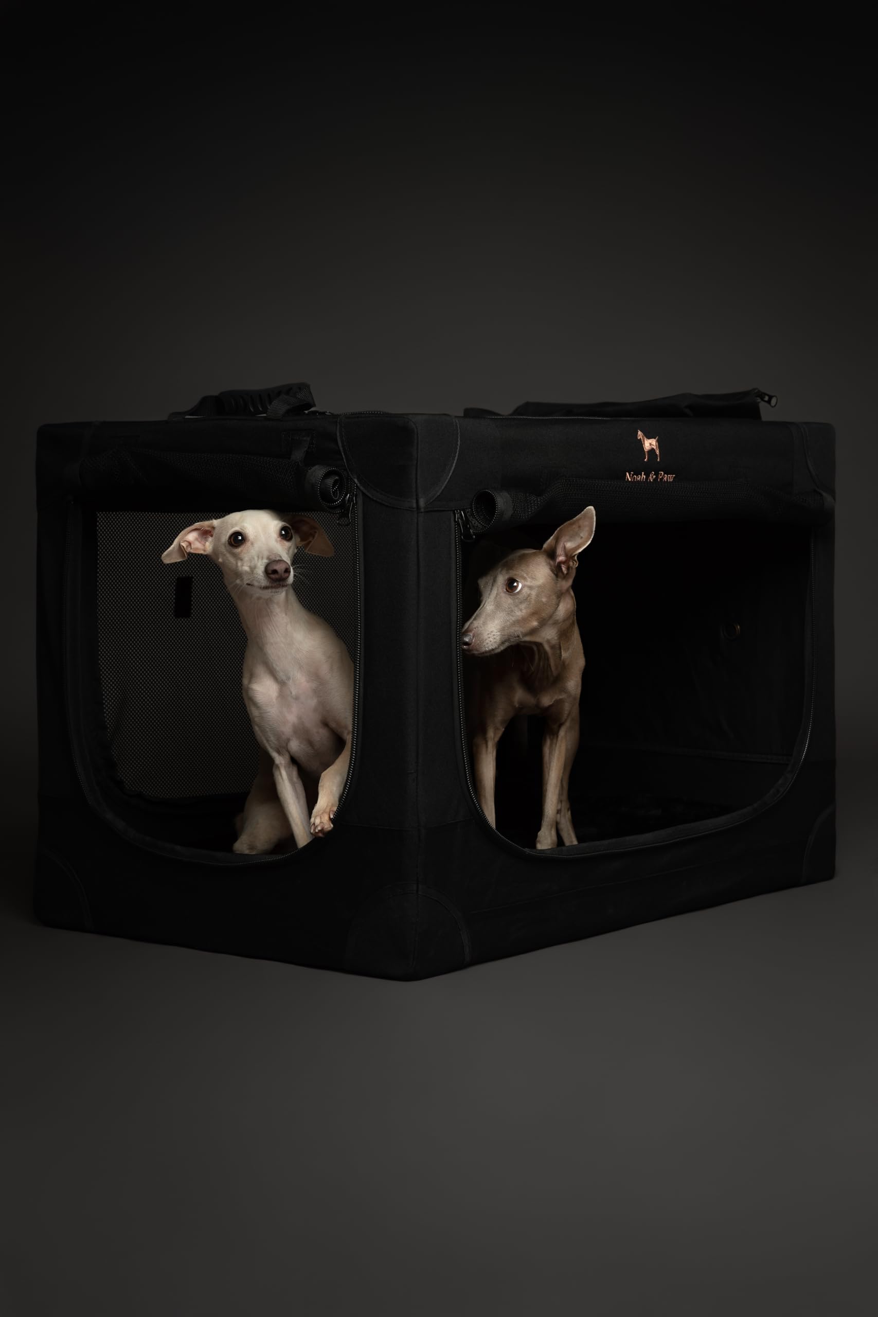 Noah & Paw cadre renforcé et stabilité durable