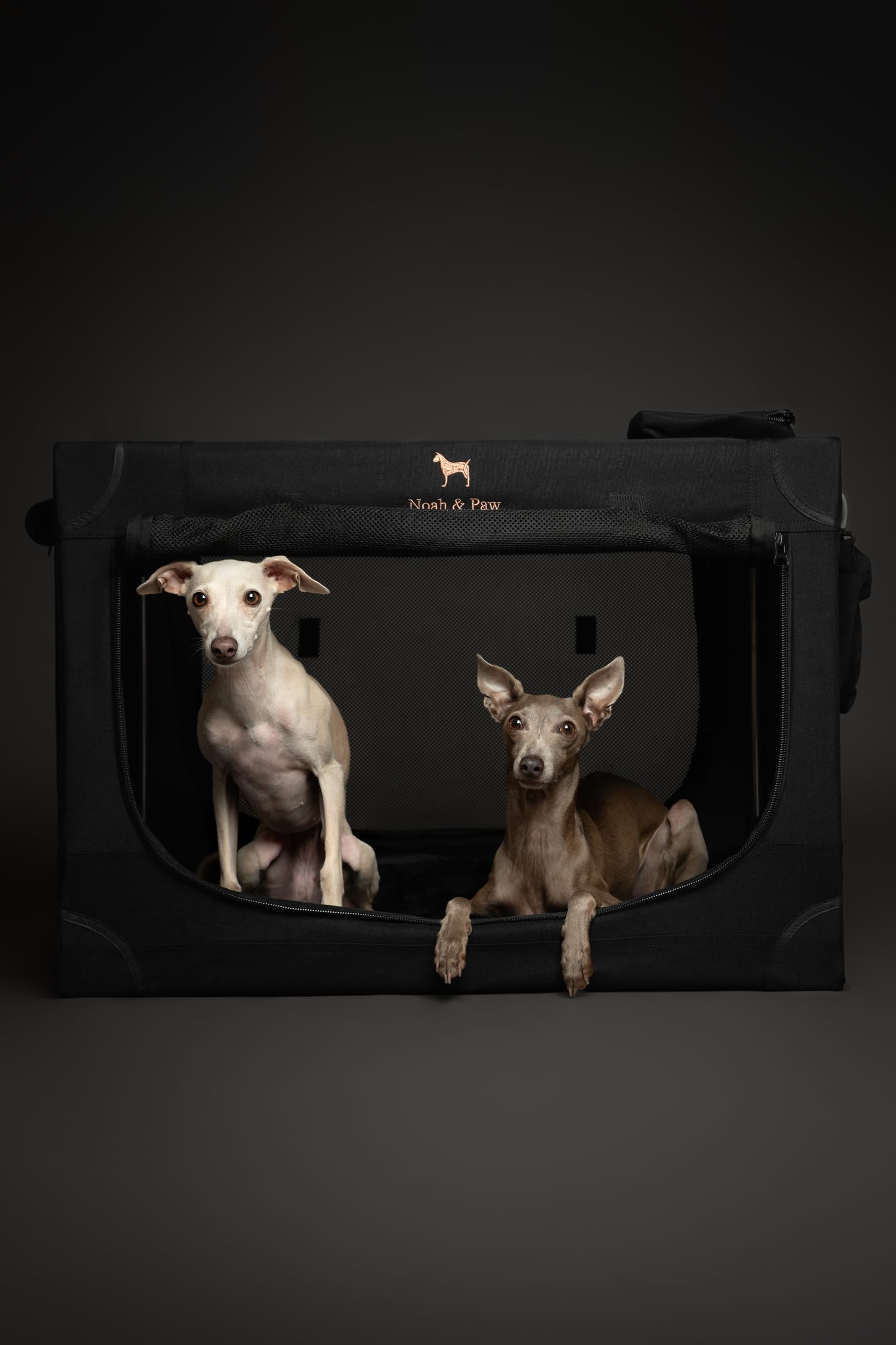 Noah & Paw sac de transport et poignée pratique