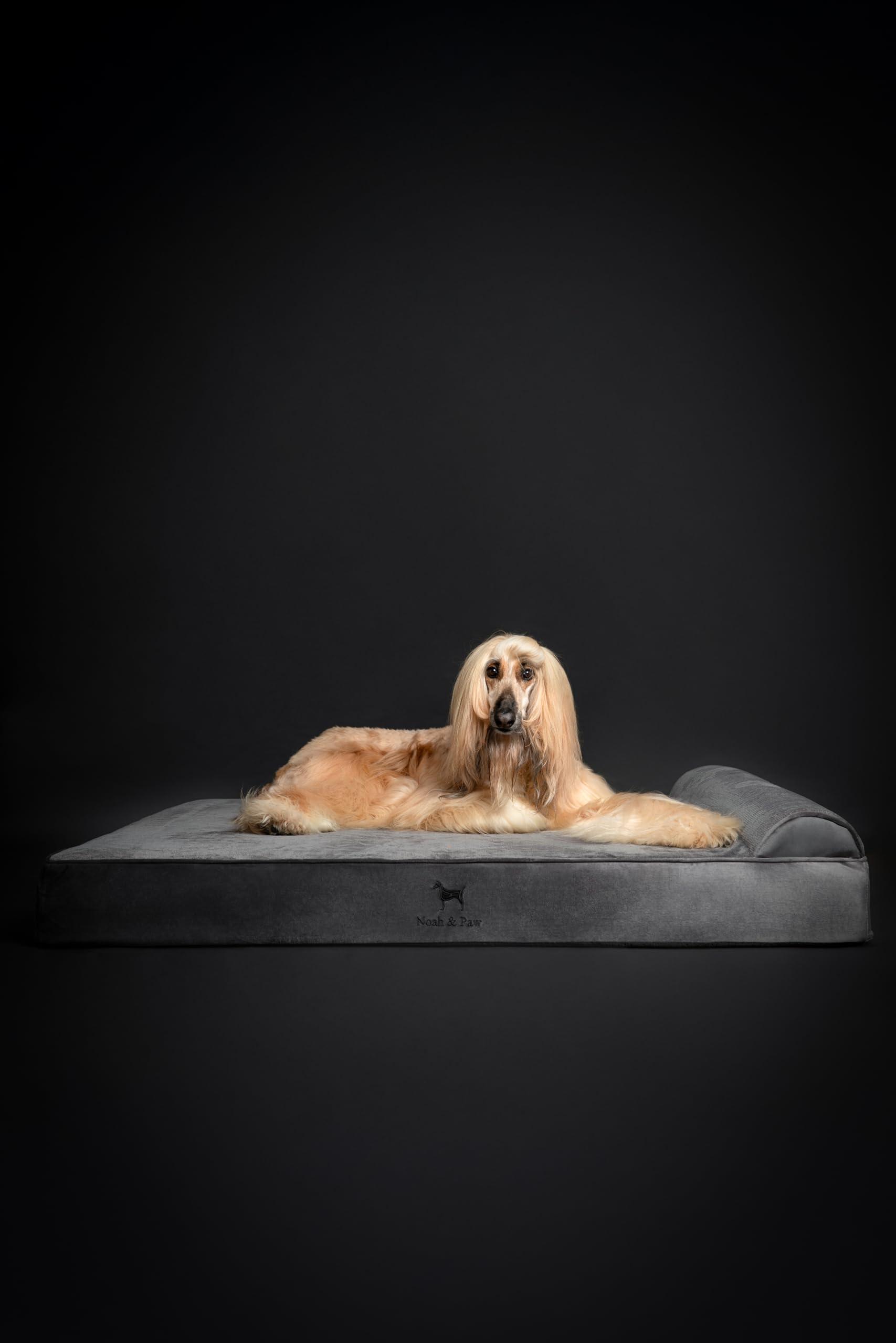 NOAH & PAW confort optimal pour chiens de grandes races Velours Collection.