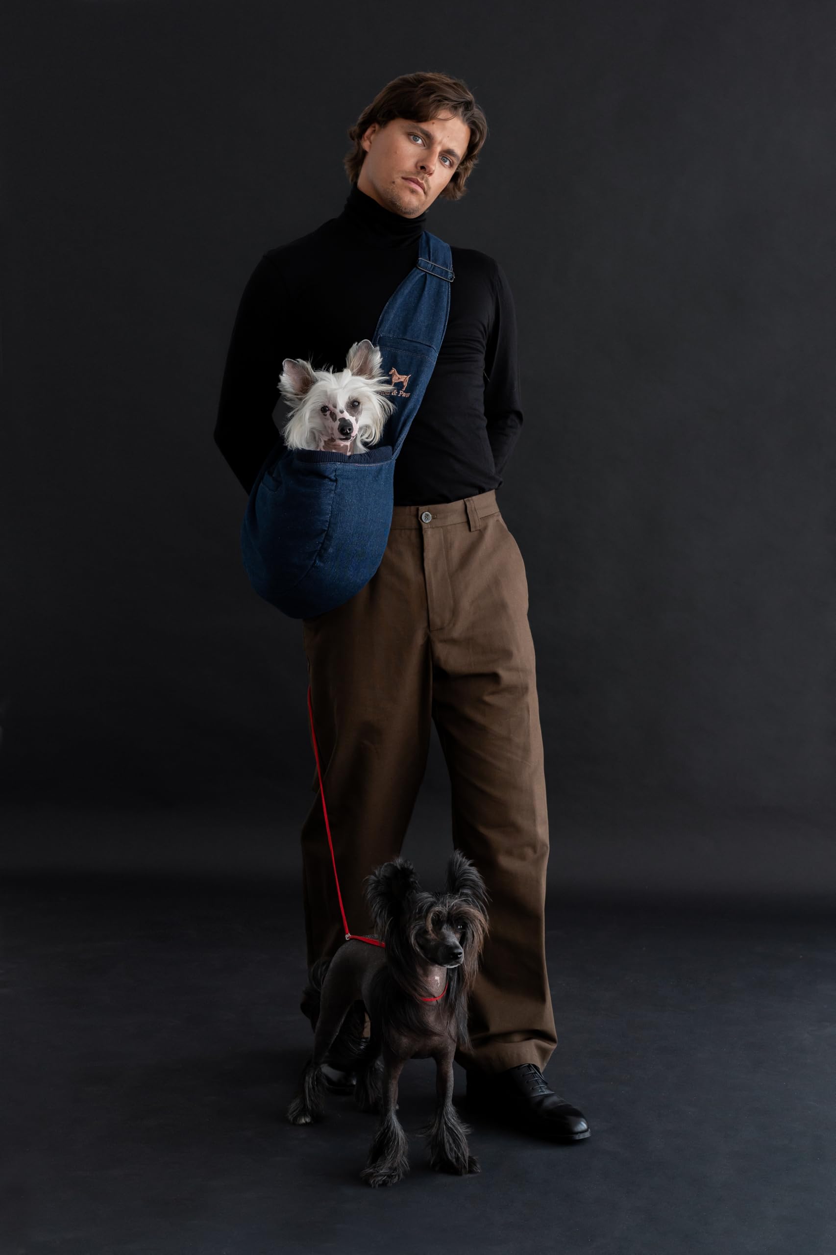 Utilisation NOAH & PAW en convalescence, soutien temporaire lors des déplacements.