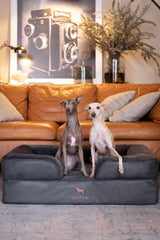 Coussin-dossier NOAH & PAW avec gel rafraîchissant pour le confort estival.