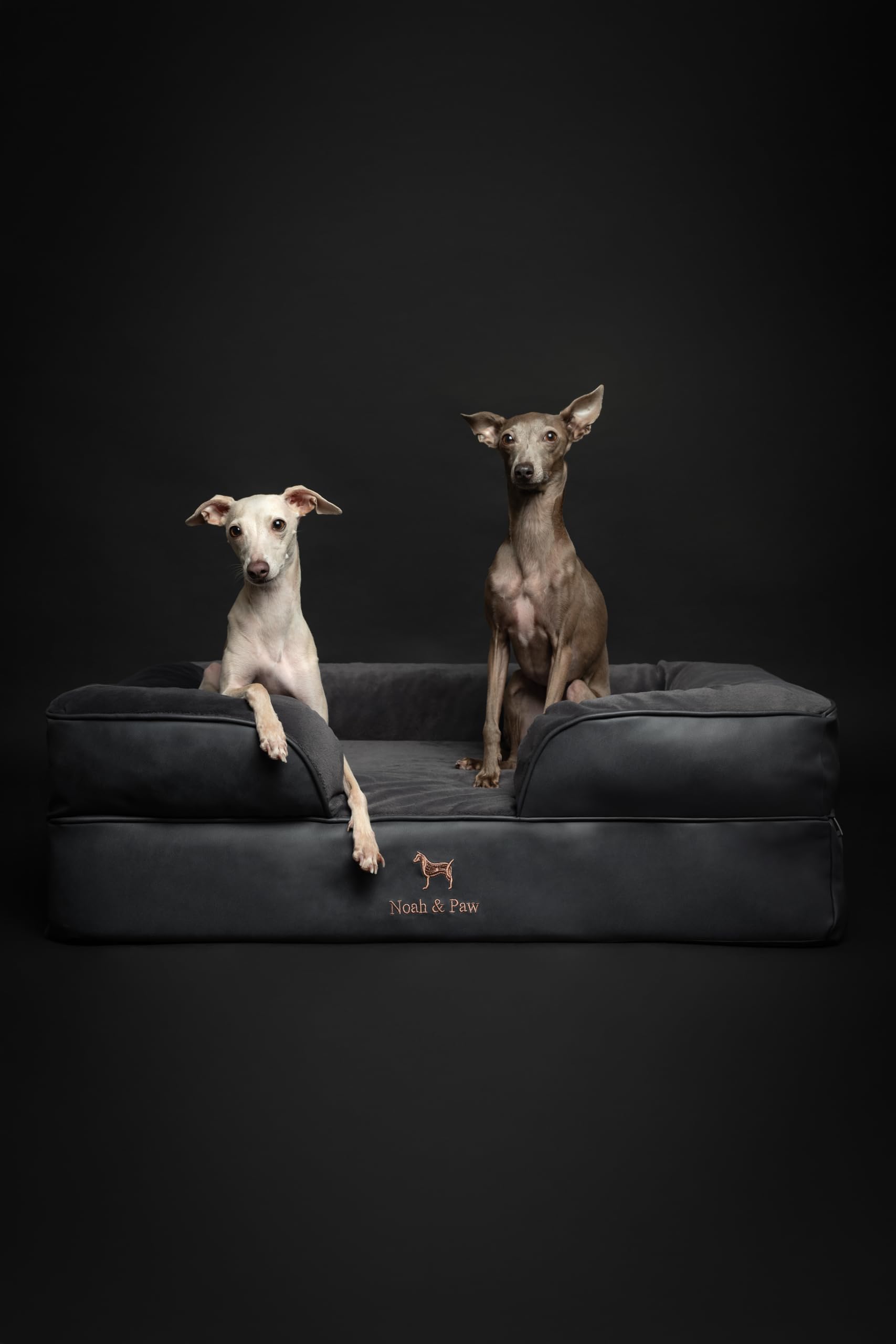 Double housse NOAH & PAW intérieures et extérieures lavables.