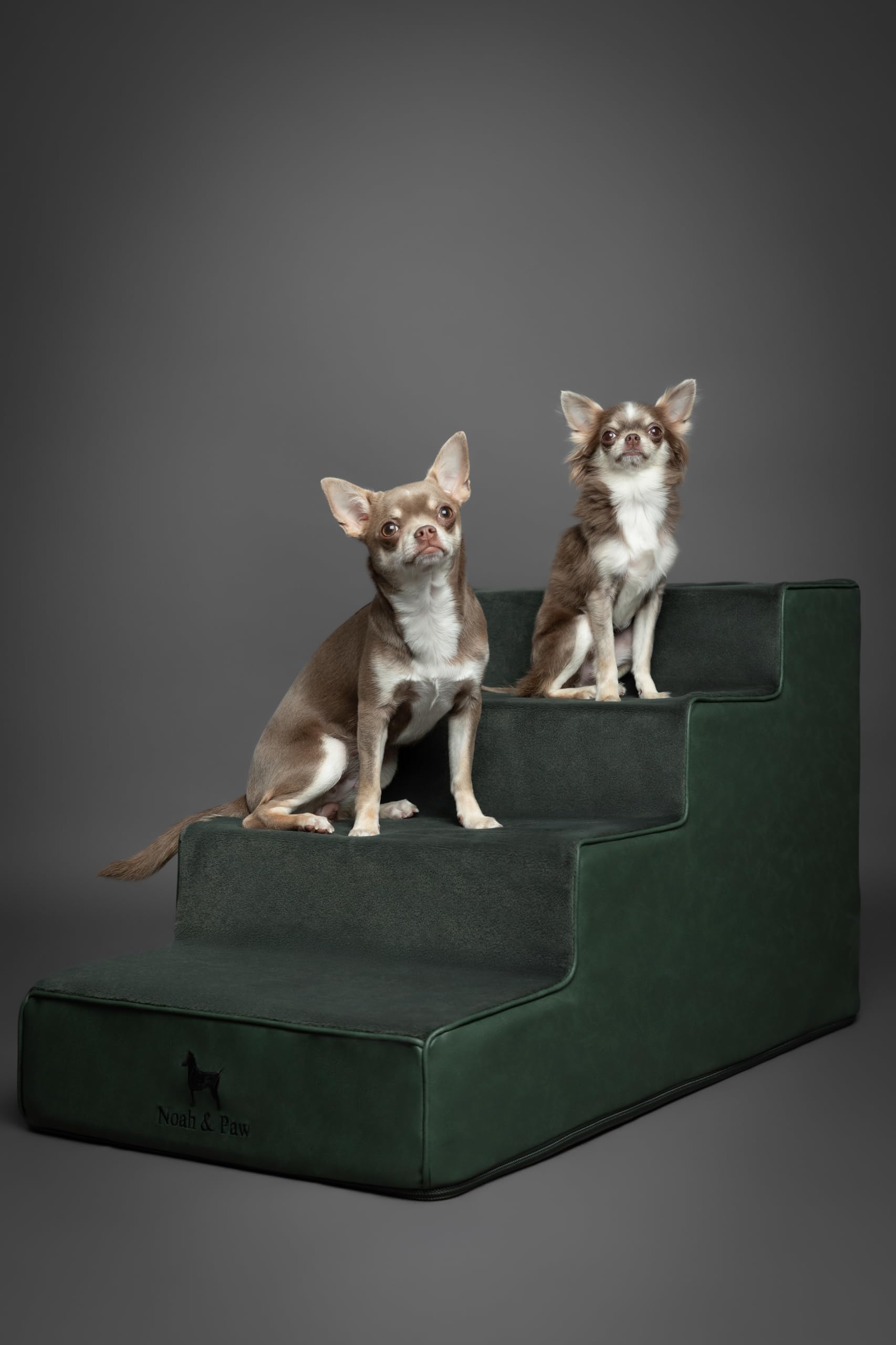 Noah & Paw escalier chien 5 marches, parfait pour canapés hauts.