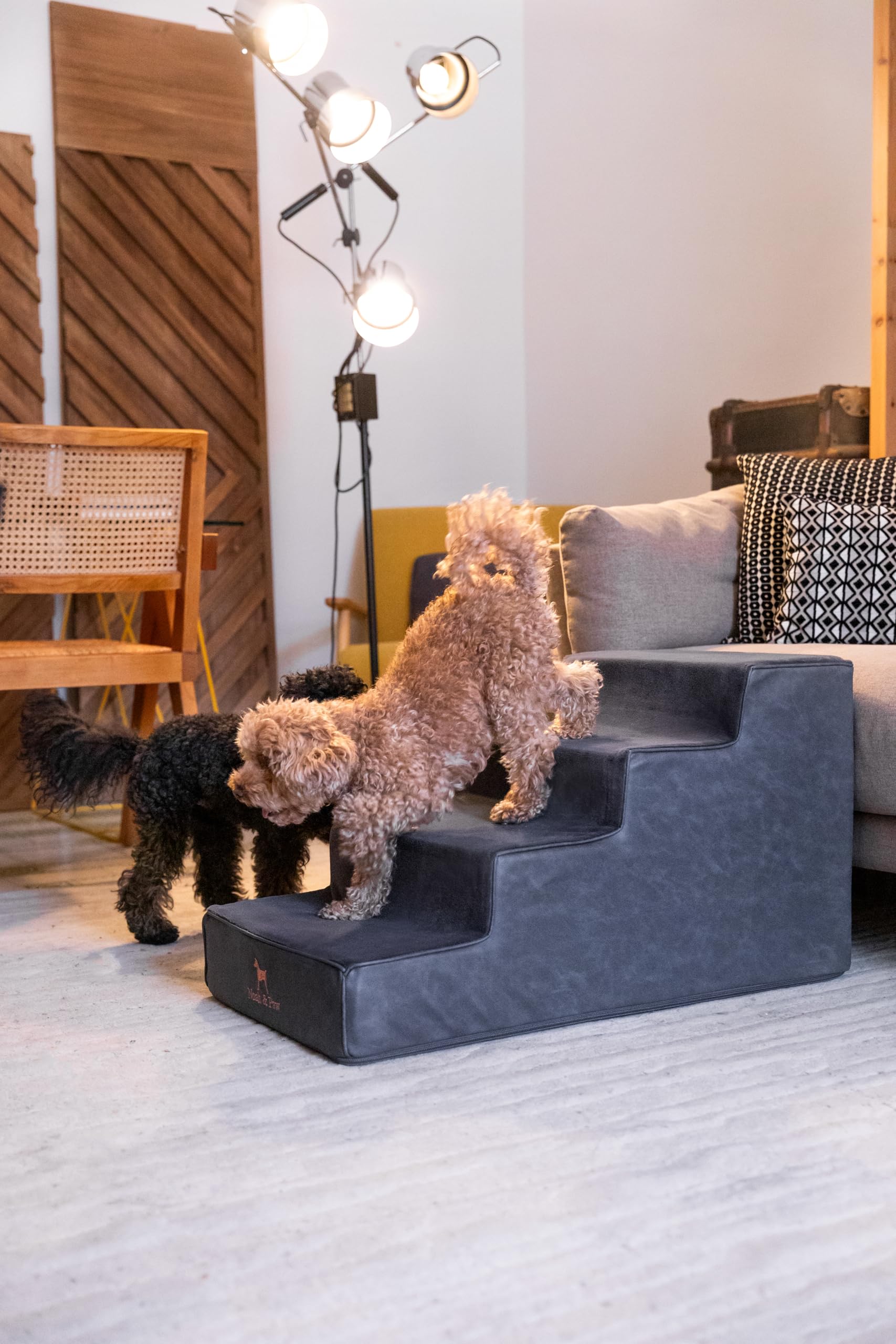 Noah & Paw Escalier mousse densité 35, soutien durable.