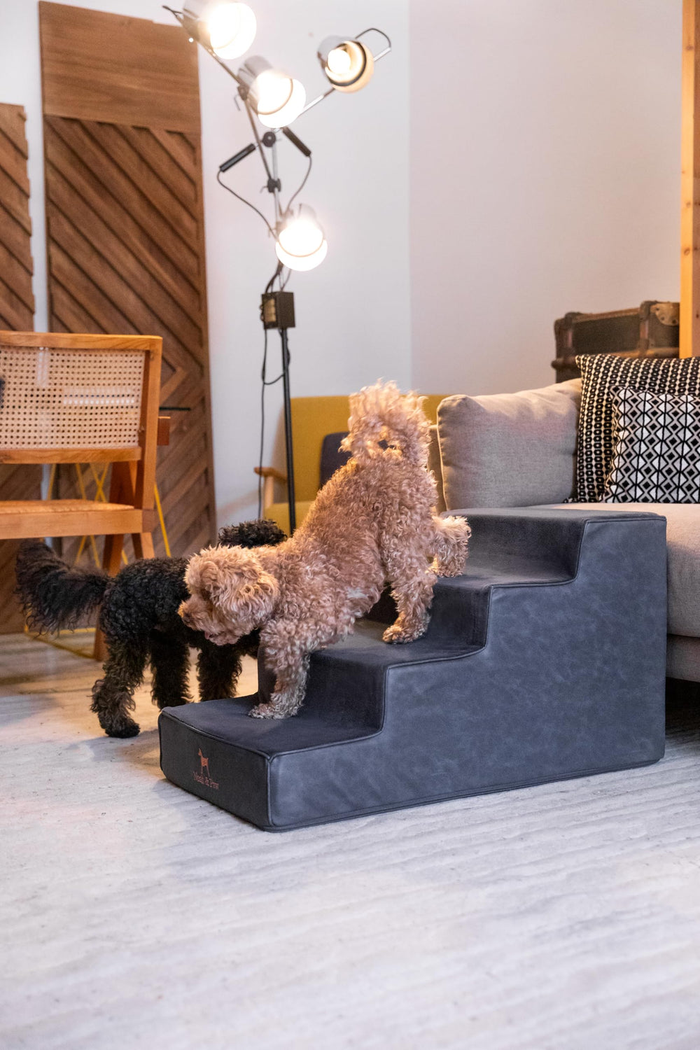 Noah & Paw Escalier mousse densité 35, soutien durable.