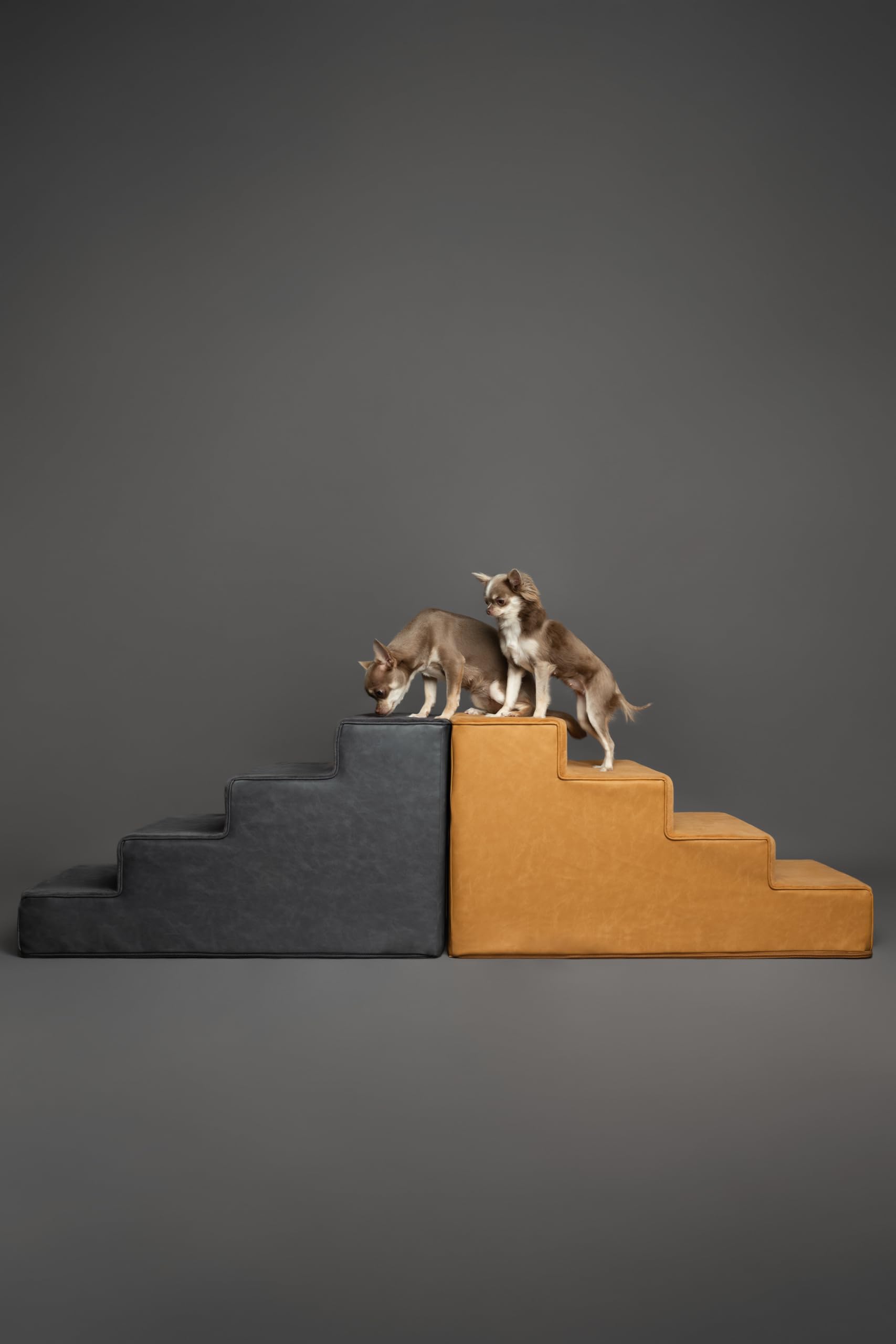 Noah & Paw escalier chien fermeture éclair 10 mm, housse lavable.