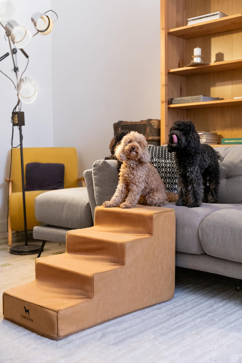 Noah & Paw escalier chien 17 pouces, largeur généreuse pour grands chiens.