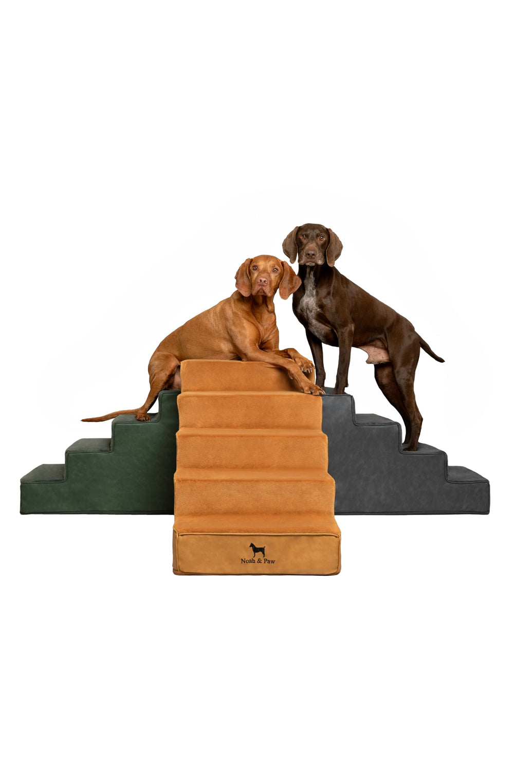 NOAH & PAW Escalier chien lit 20 pouces, aide sûre pour chiens de toutes tailles